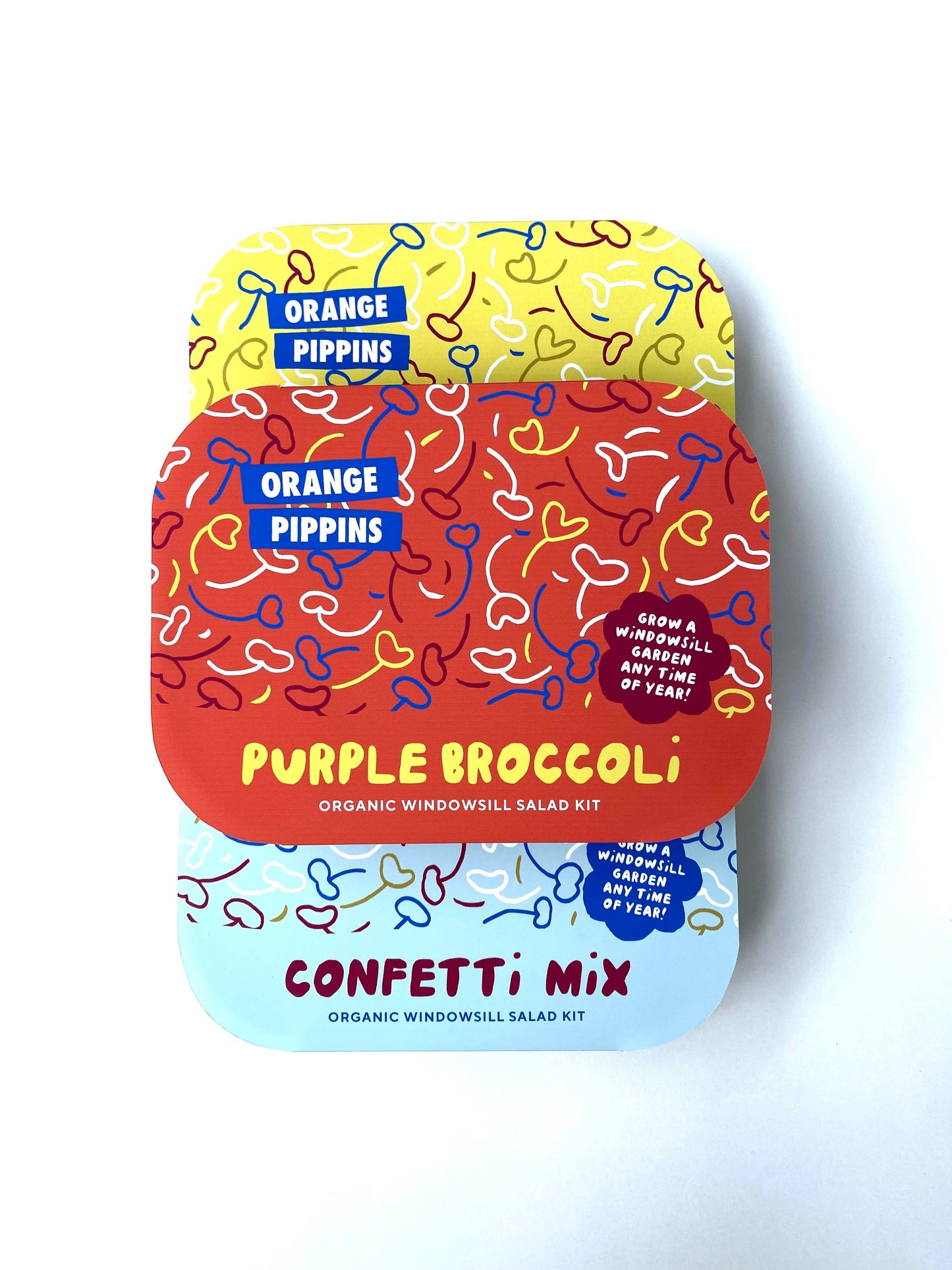 Windowsill Salad Kit: ORGANIC Confetti Salad Mix