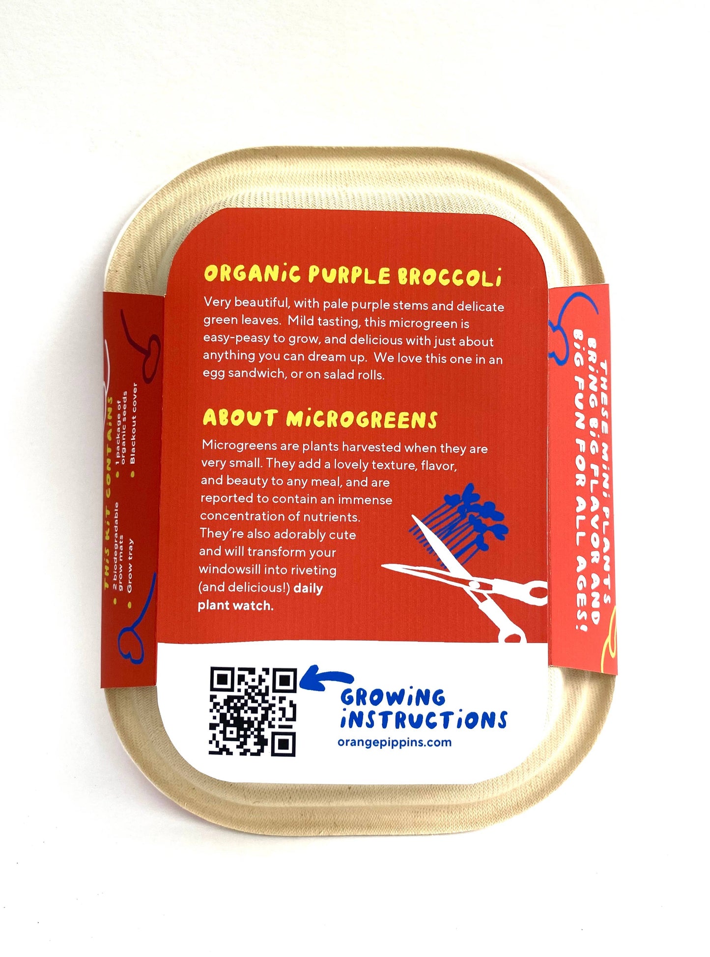 Windowsill Salad Kit: ORGANIC Purple Broccoli