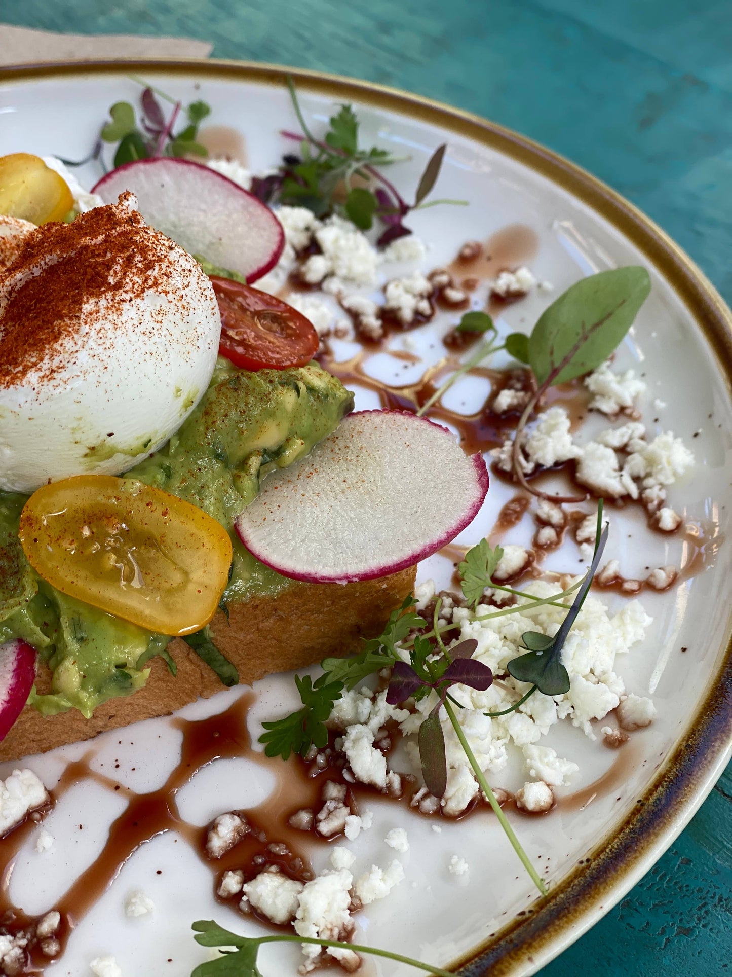 Windowsill Salad Kit: ORGANIC Purple Broccoli