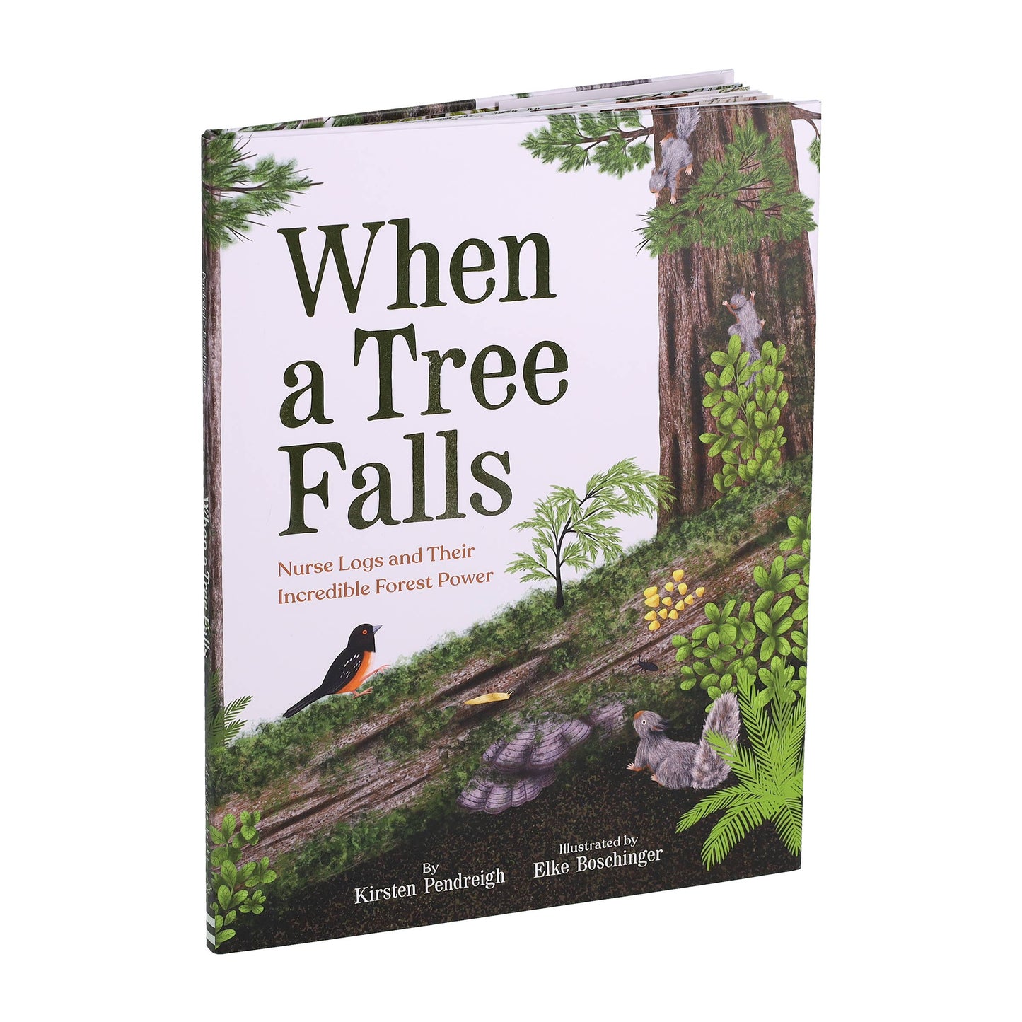 When a Tree Falls