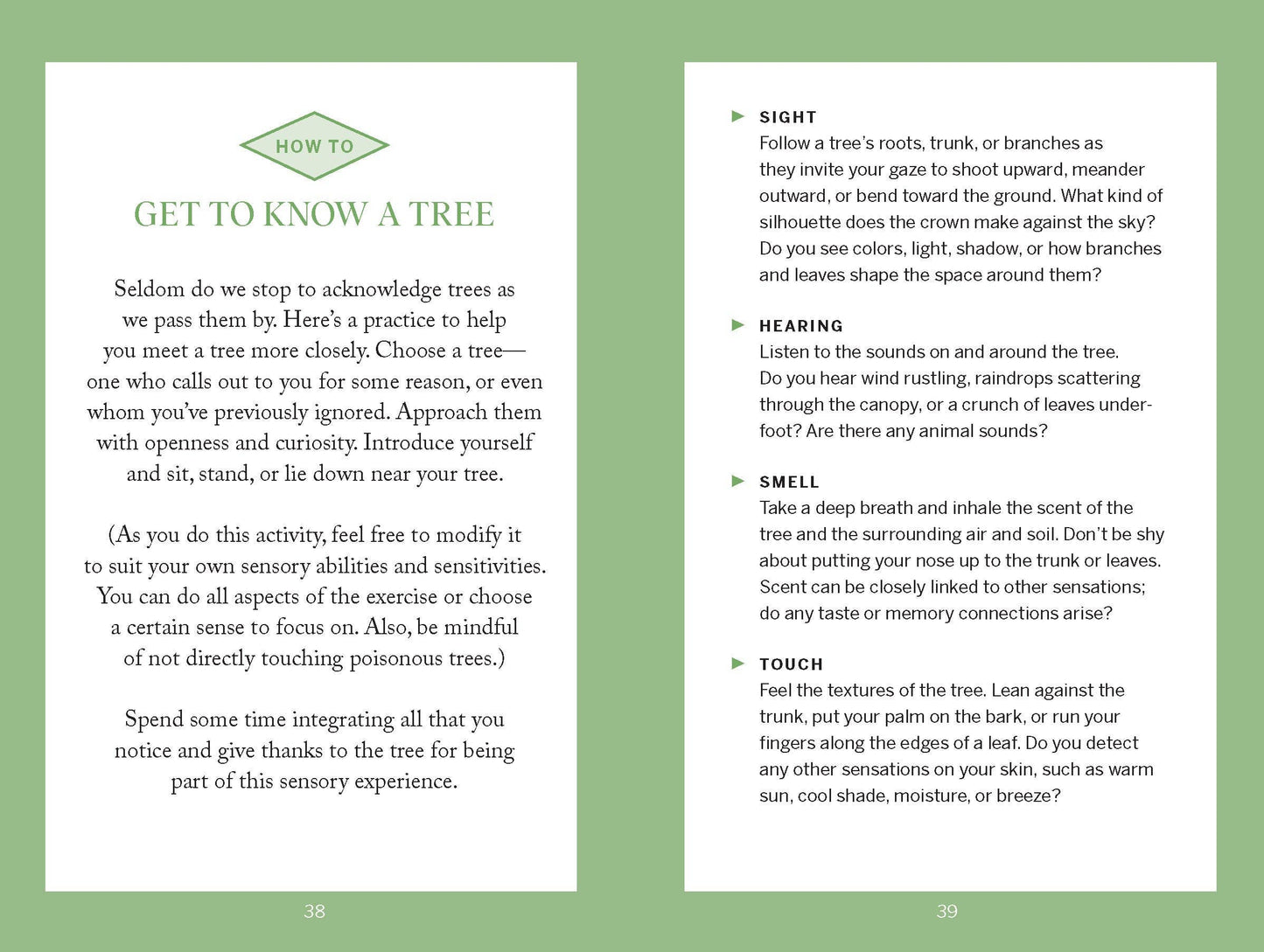 Pocket Nature: Tree Hugging