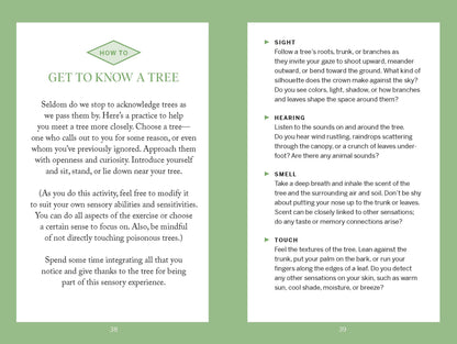 Pocket Nature: Tree Hugging