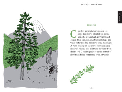 Pocket Nature: Tree Hugging