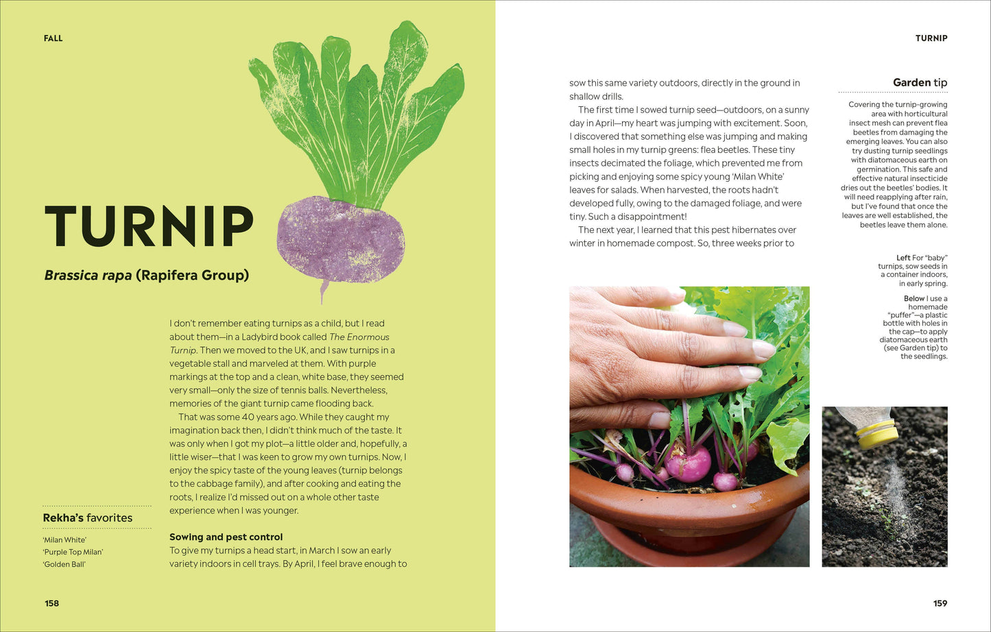 Rekha's Kitchen Garden