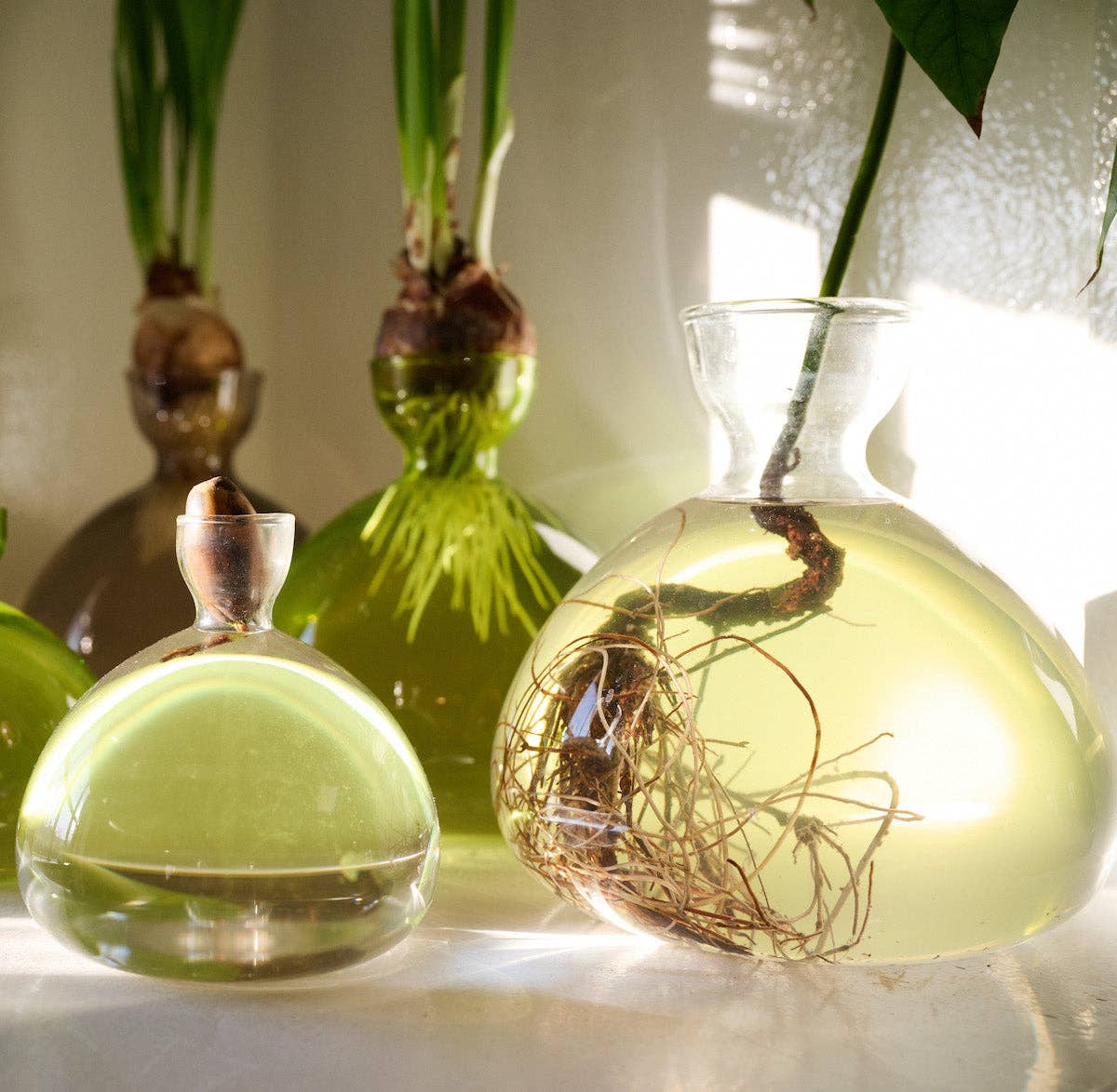 Acorn Vase: Grass Green