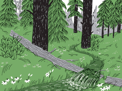 Pocket Nature: Tree Hugging