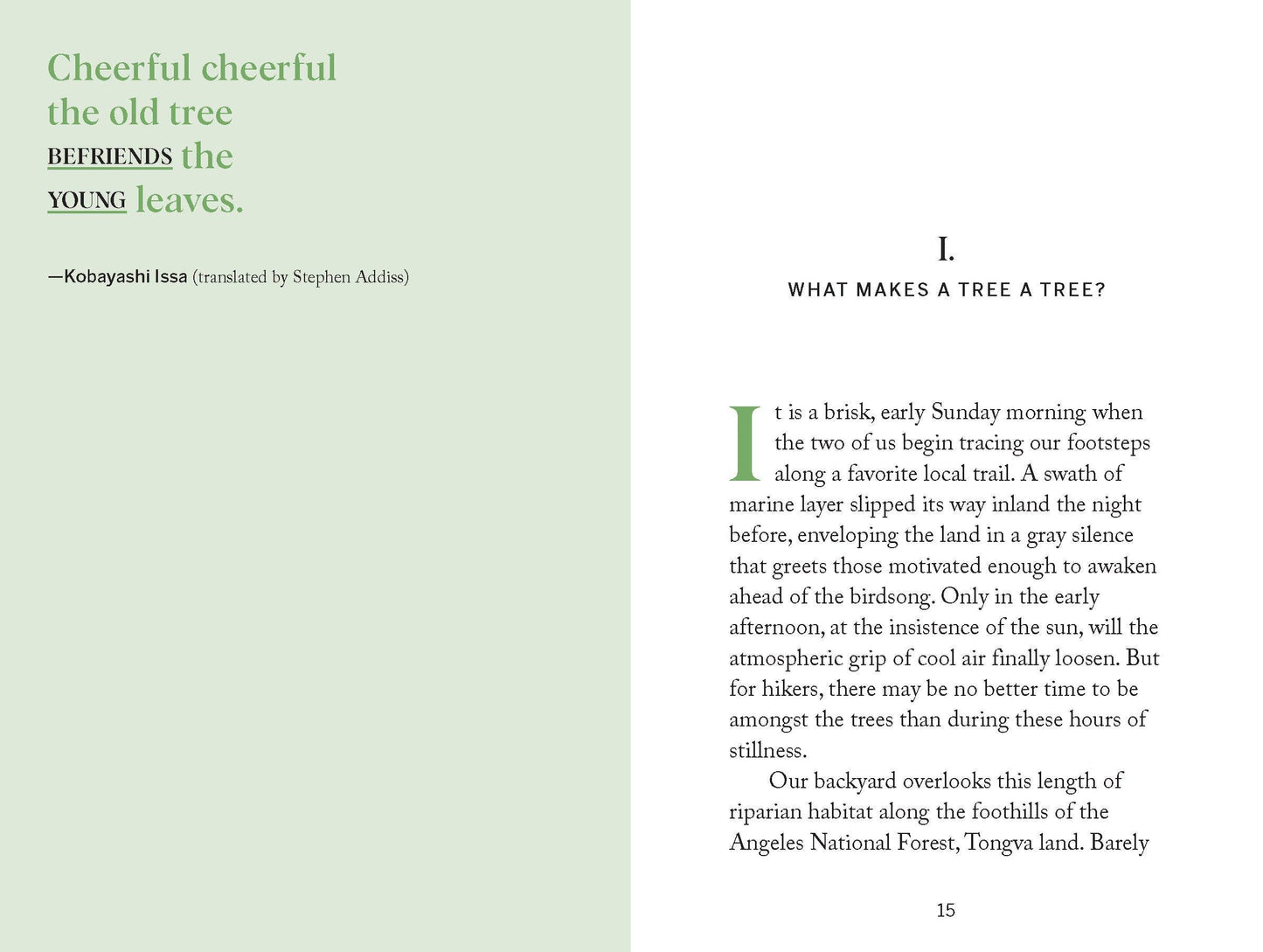 Pocket Nature: Tree Hugging