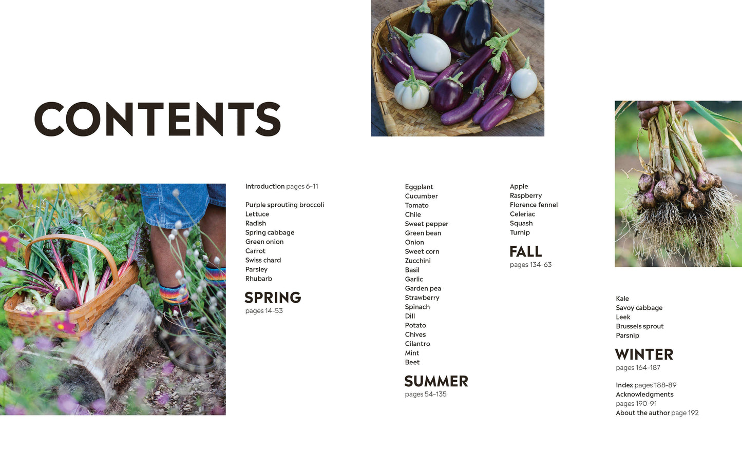 Rekha's Kitchen Garden