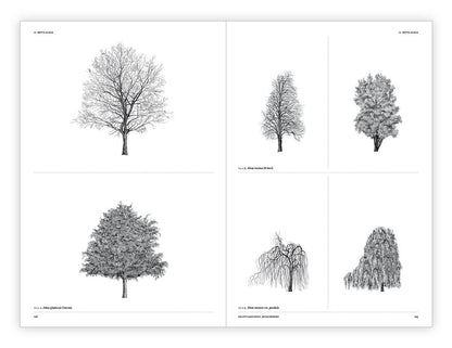The Architecture of Trees