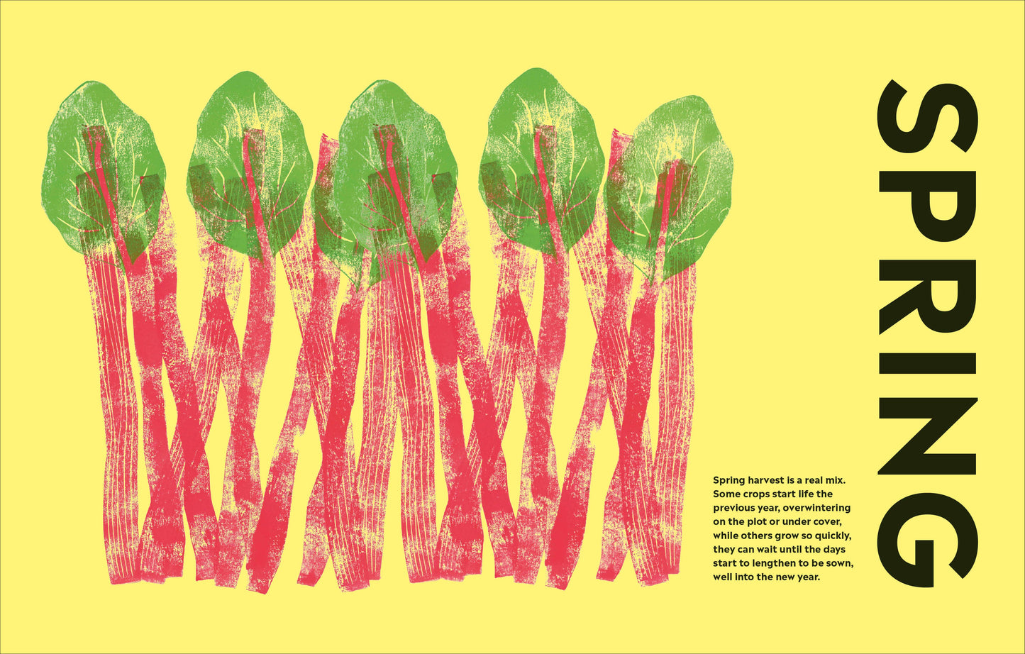 Rekha's Kitchen Garden