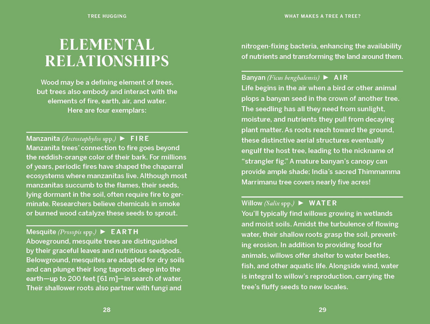 Pocket Nature: Tree Hugging