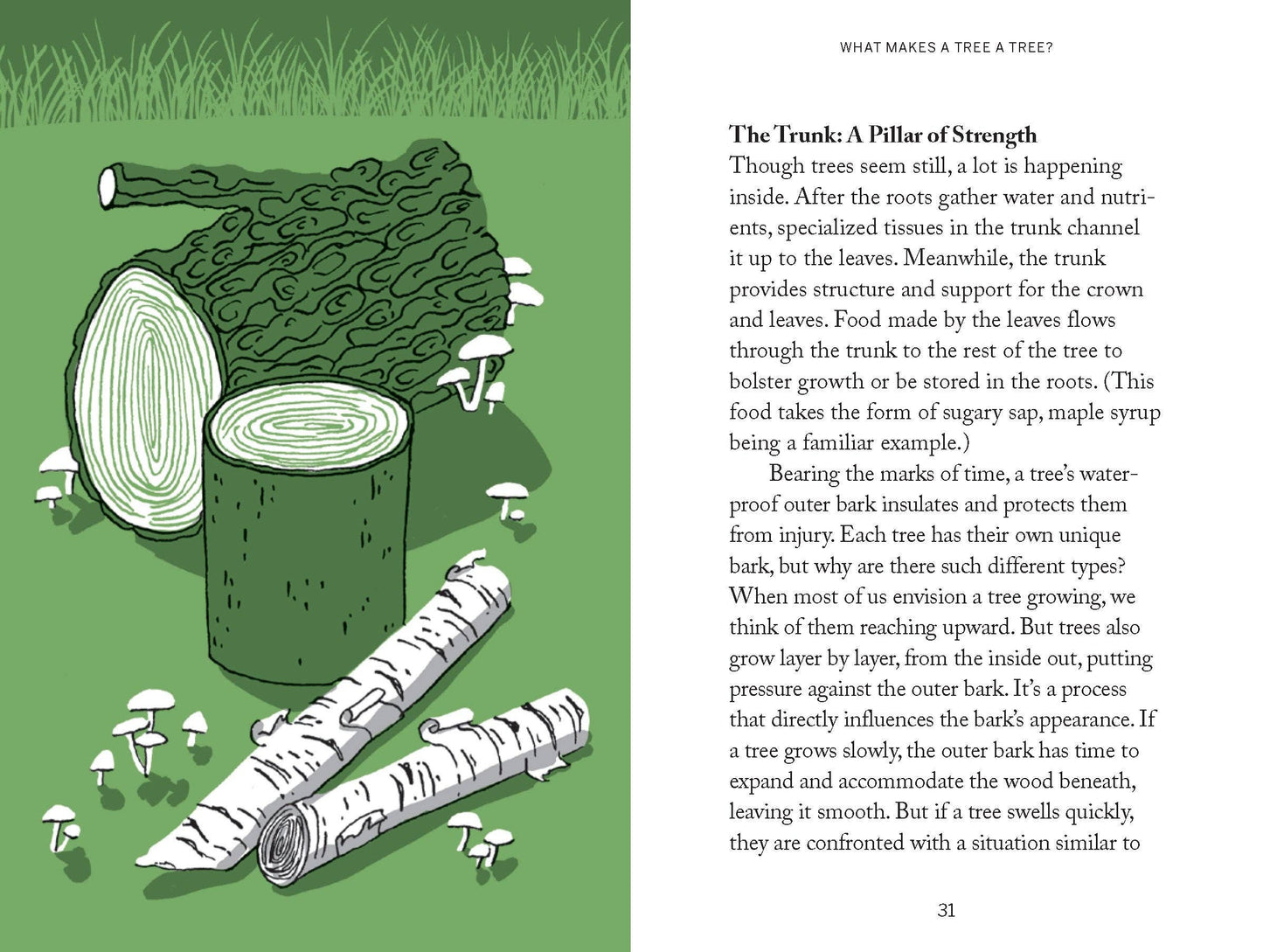 Pocket Nature: Tree Hugging