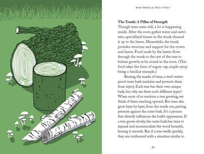 Pocket Nature: Tree Hugging